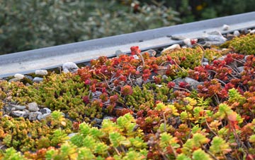 the cost of Blaenau Gwent green roof installation