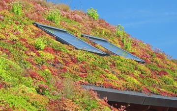 Blaenau Gwent living roof systems